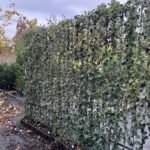 Zöld térelhatárolás: a természet ereje